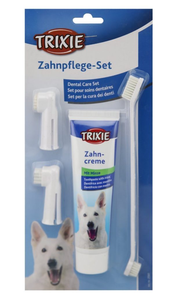 So entfernen Sie Zahnstein bei der Katze zahnsteinentfernen.eu