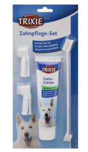 Zahnstein entfernen Hund